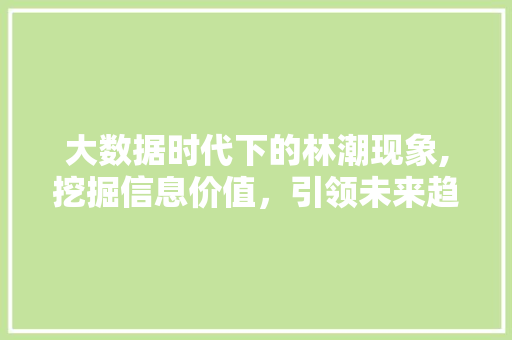 大数据时代下的林潮现象,挖掘信息价值，引领未来趋势