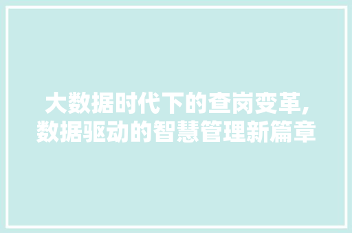 大数据时代下的查岗变革,数据驱动的智慧管理新篇章
