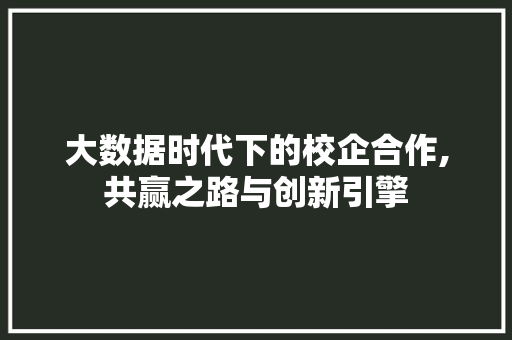 大数据时代下的校企合作,共赢之路与创新引擎