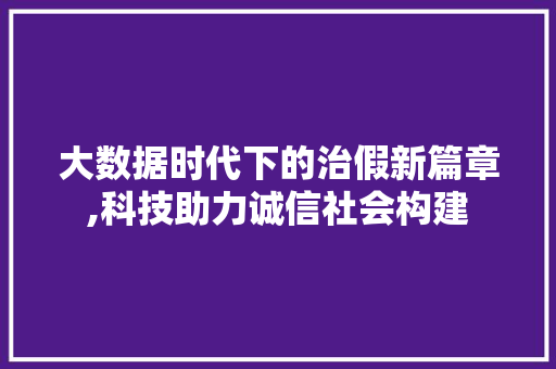 大数据时代下的治假新篇章,科技助力诚信社会构建 Web前端