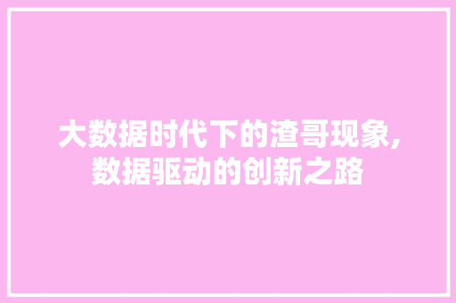 大数据时代下的渣哥现象,数据驱动的创新之路