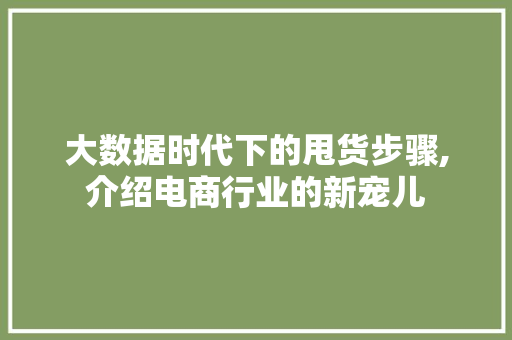 大数据时代下的甩货步骤,介绍电商行业的新宠儿