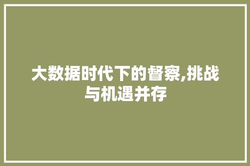 大数据时代下的督察,挑战与机遇并存
