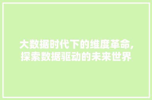 大数据时代下的维度革命,探索数据驱动的未来世界