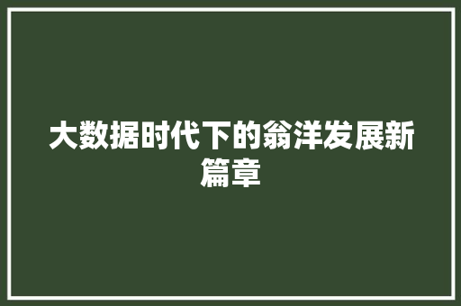大数据时代下的翁洋发展新篇章
