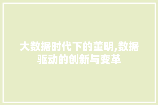 大数据时代下的董明,数据驱动的创新与变革 SEO教程