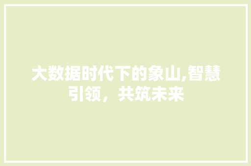 大数据时代下的象山,智慧引领，共筑未来