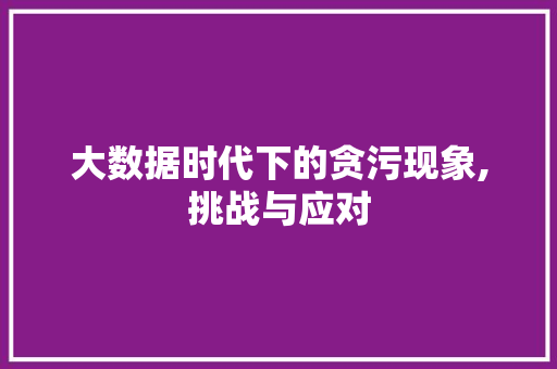 大数据时代下的贪污现象,挑战与应对