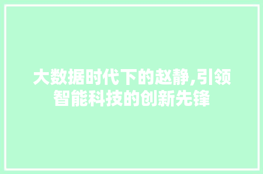 大数据时代下的赵静,引领智能科技的创新先锋