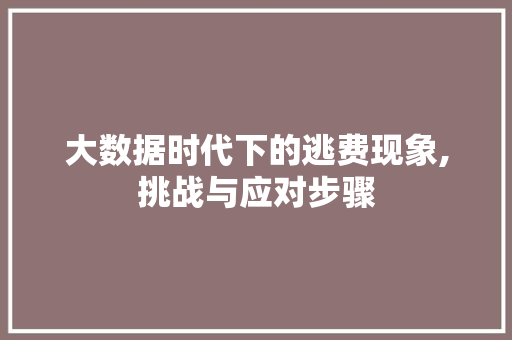 大数据时代下的逃费现象,挑战与应对步骤
