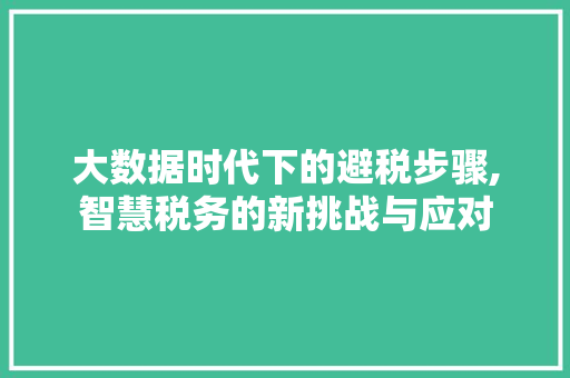 大数据时代下的避税步骤,智慧税务的新挑战与应对