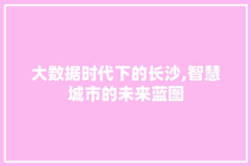大数据时代下的长沙,智慧城市的未来蓝图