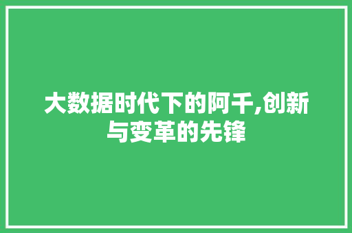 大数据时代下的阿千,创新与变革的先锋