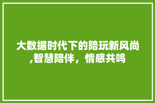 大数据时代下的陪玩新风尚,智慧陪伴，情感共鸣