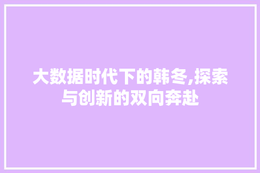 大数据时代下的韩冬,探索与创新的双向奔赴 友链在线