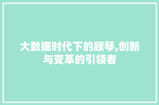 大数据时代下的顾琴,创新与变革的引领者 友链在线