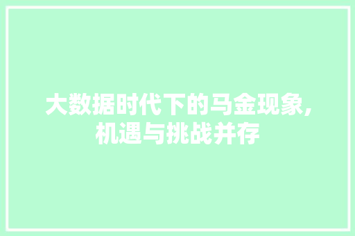 大数据时代下的马金现象,机遇与挑战并存 服务器/数据库