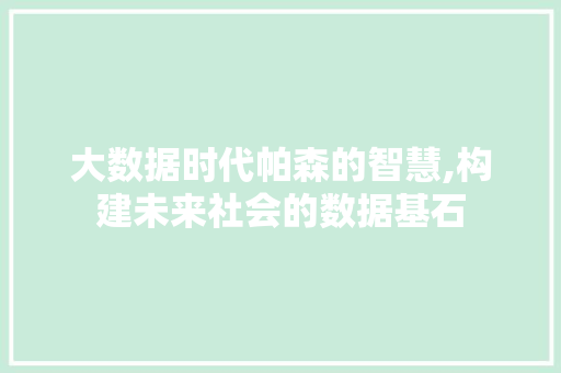 大数据时代帕森的智慧,构建未来社会的数据基石 建站教程
