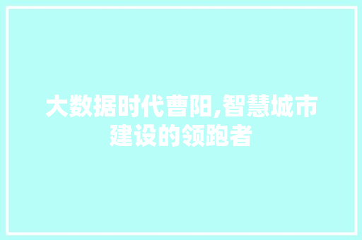 大数据时代曹阳,智慧城市建设的领跑者