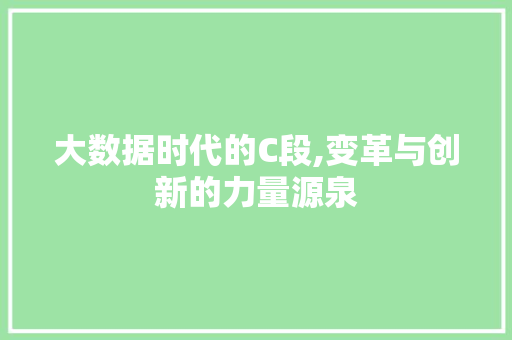 大数据时代的C段,变革与创新的力量源泉