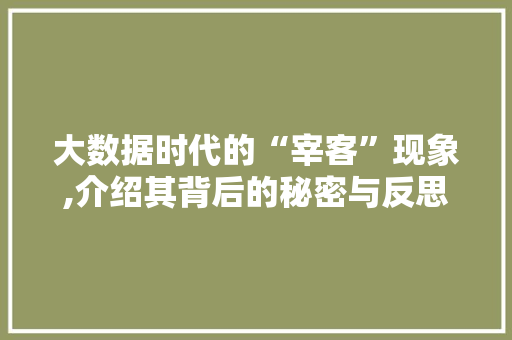 大数据时代的“宰客”现象,介绍其背后的秘密与反思
