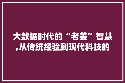 大数据时代的“老姜”智慧,从传统经验到现代科技的华丽转身