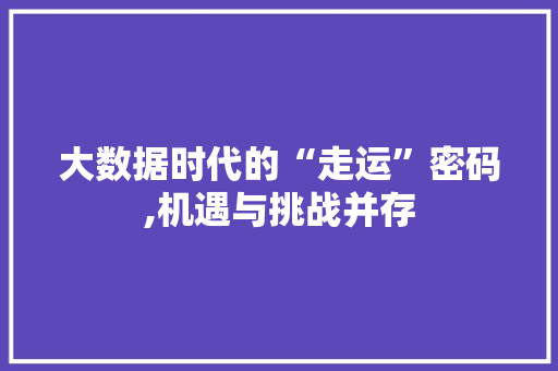 大数据时代的“走运”密码,机遇与挑战并存