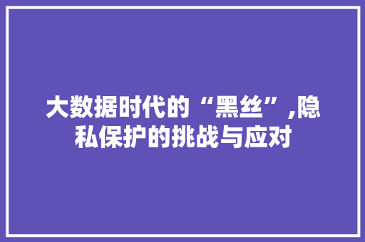 大数据时代的“黑丝”,隐私保护的挑战与应对