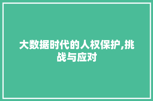 大数据时代的人权保护,挑战与应对 建站教程
