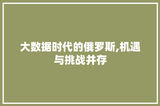 大数据时代的俄罗斯,机遇与挑战并存