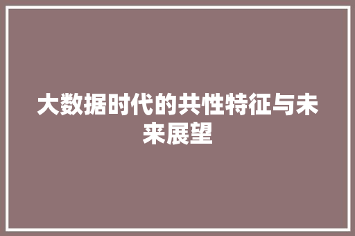 大数据时代的共性特征与未来展望
