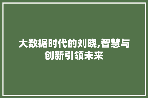 大数据时代的刘晓,智慧与创新引领未来