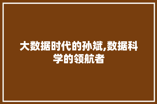 大数据时代的孙斌,数据科学的领航者