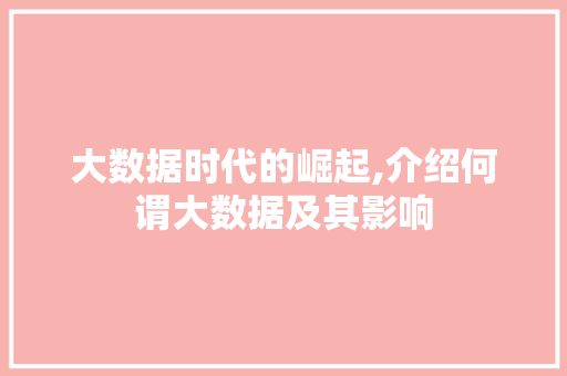 大数据时代的崛起,介绍何谓大数据及其影响 WordPress教程