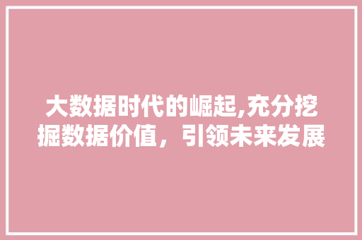 大数据时代的崛起,充分挖掘数据价值，引领未来发展趋势