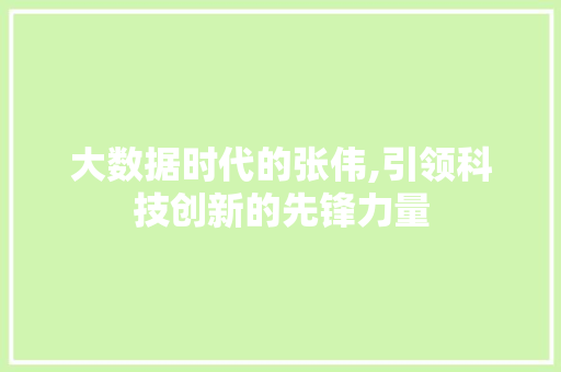 大数据时代的张伟,引领科技创新的先锋力量 服务器/数据库