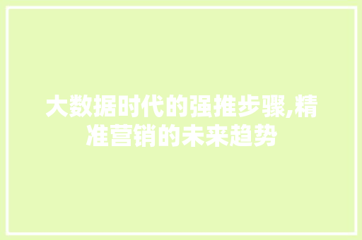 大数据时代的强推步骤,精准营销的未来趋势 建站教程