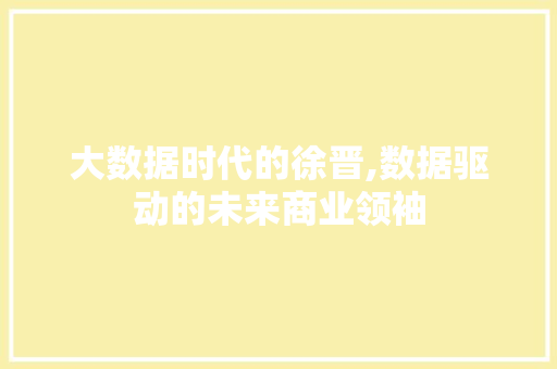 大数据时代的徐晋,数据驱动的未来商业领袖