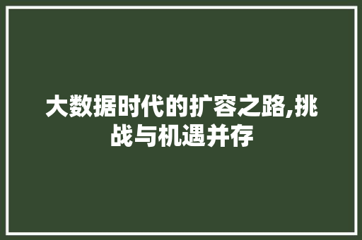 大数据时代的扩容之路,挑战与机遇并存