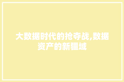 大数据时代的抢夺战,数据资产的新疆域