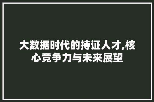 大数据时代的持证人才,核心竞争力与未来展望 SEO教程