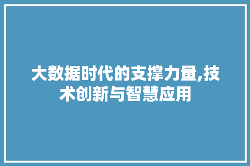 大数据时代的支撑力量,技术创新与智慧应用