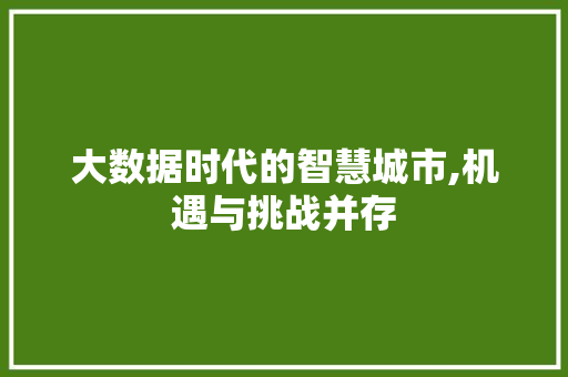 大数据时代的智慧城市,机遇与挑战并存