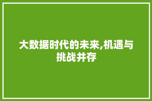 大数据时代的未来,机遇与挑战并存
