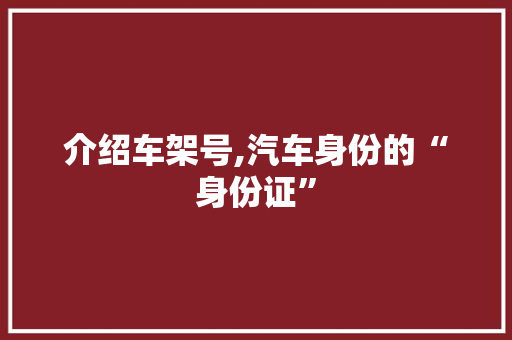 介绍车架号,汽车身份的“身份证”