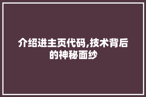 介绍进主页代码,技术背后的神秘面纱