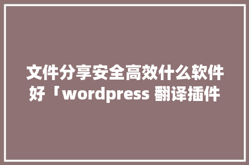文件分享安全高效什么软件好「wordpress 翻译插件」 服务器/数据库