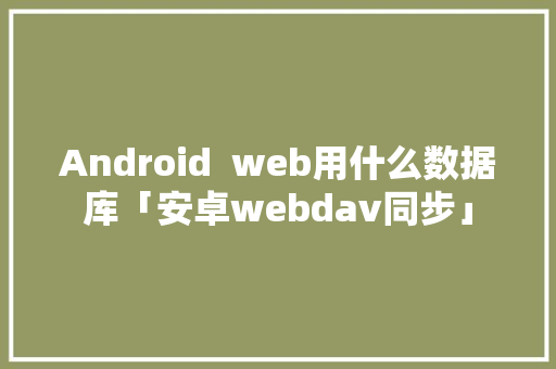 Android  web用什么数据库「安卓webdav同步」