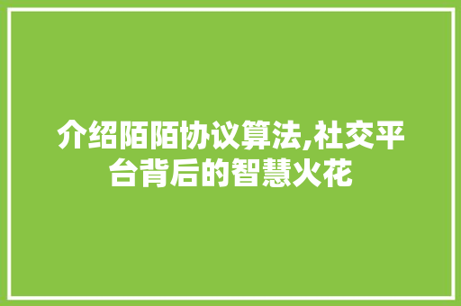 介绍陌陌协议算法,社交平台背后的智慧火花 WordPress教程