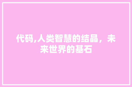 代码,人类智慧的结晶，未来世界的基石 WordPress教程